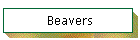 Beavers