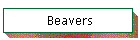 Beavers