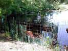 Pond overflow pipe with beaver-proof fencing (145KB)