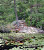 Rock on edge of pond (106KB)