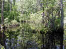 Lagoon, inner (179KB)
