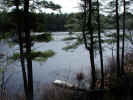PondGlisteningInSpring.jpg (109774 bytes)