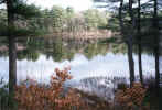 View from balcony in early spring (91KB)