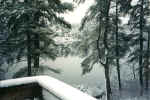 Winter image of pond from a balcony (112KB)